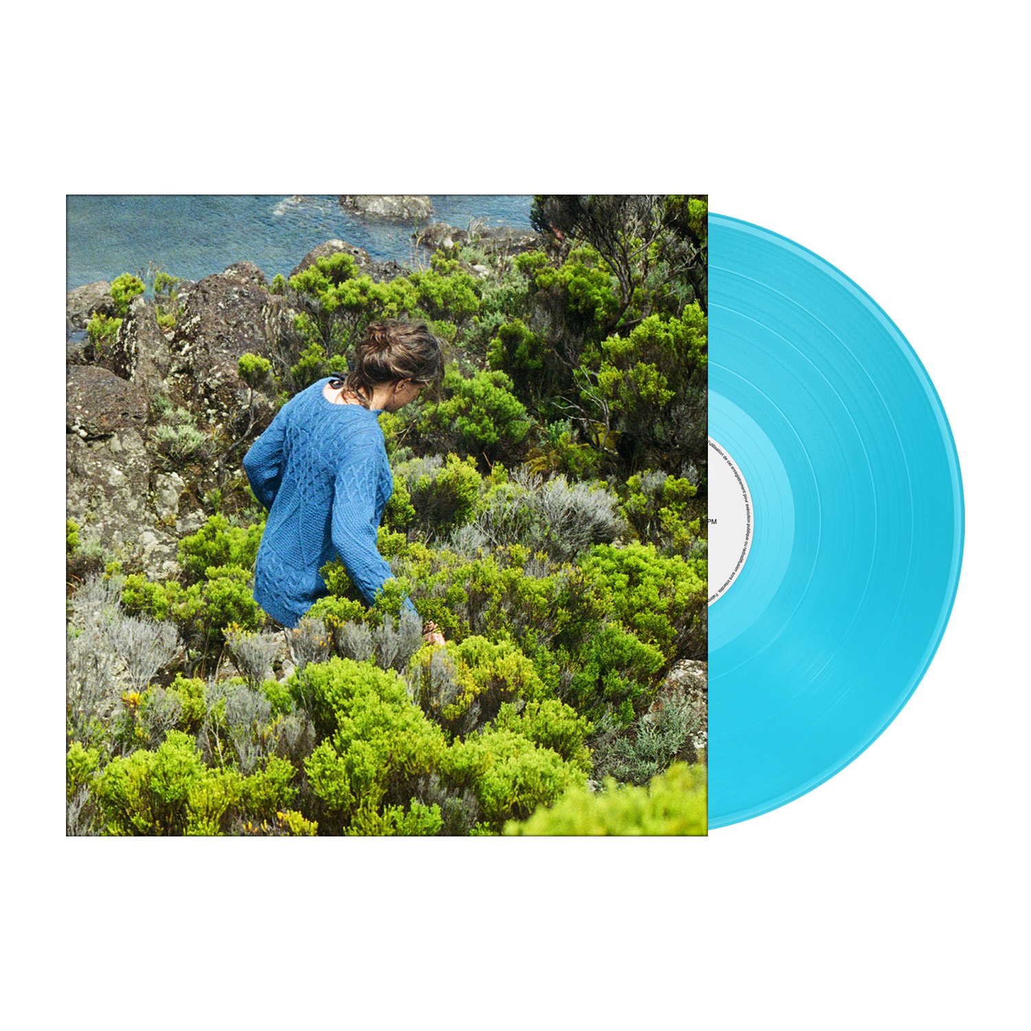 VINYLE "FIDEL"